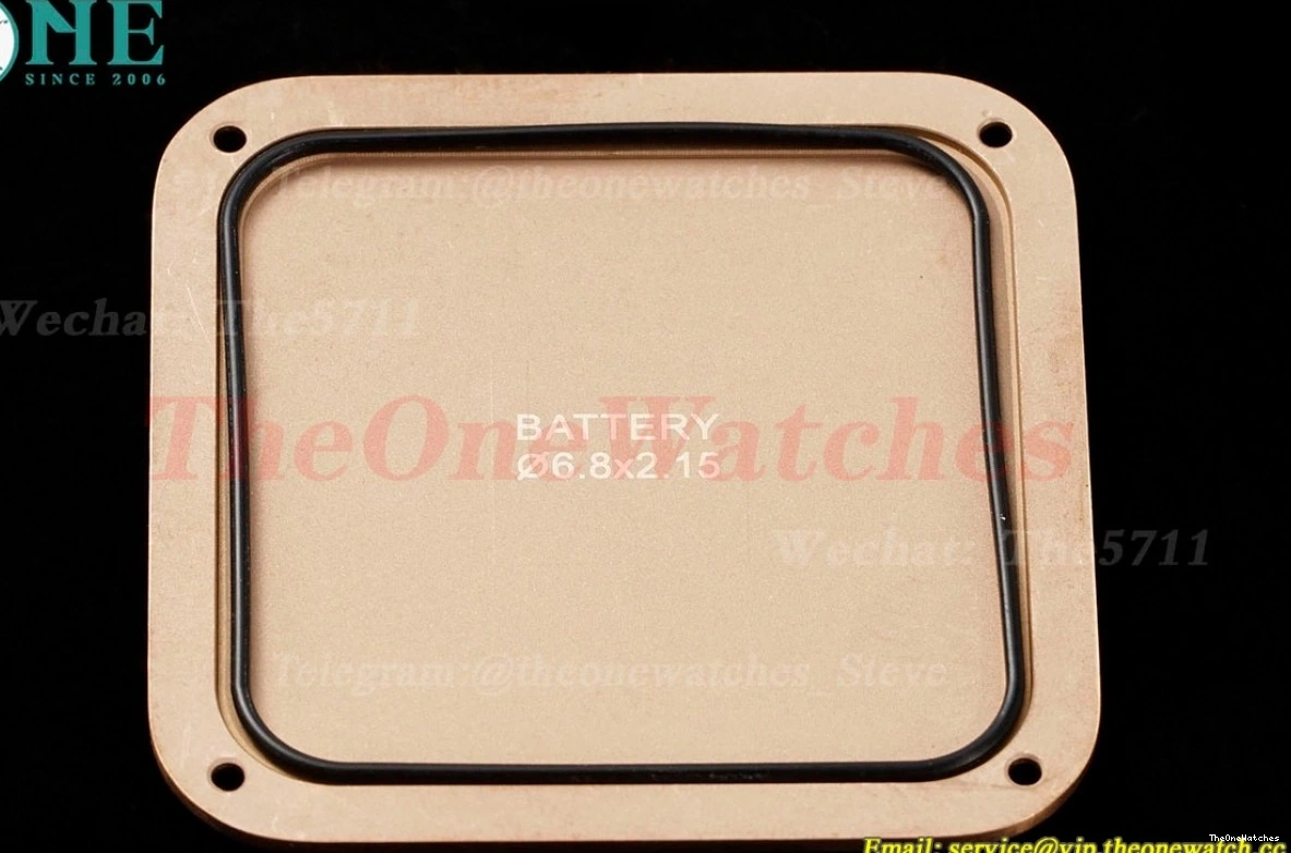 RG Santos Dumont LE Blue Dia Dial AF Quartz Silver 0329